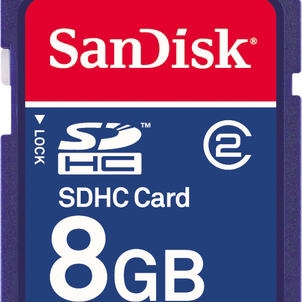 SanDisk Standard 8GB SD Card