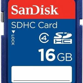 SanDisk Standard 16GB SD Card